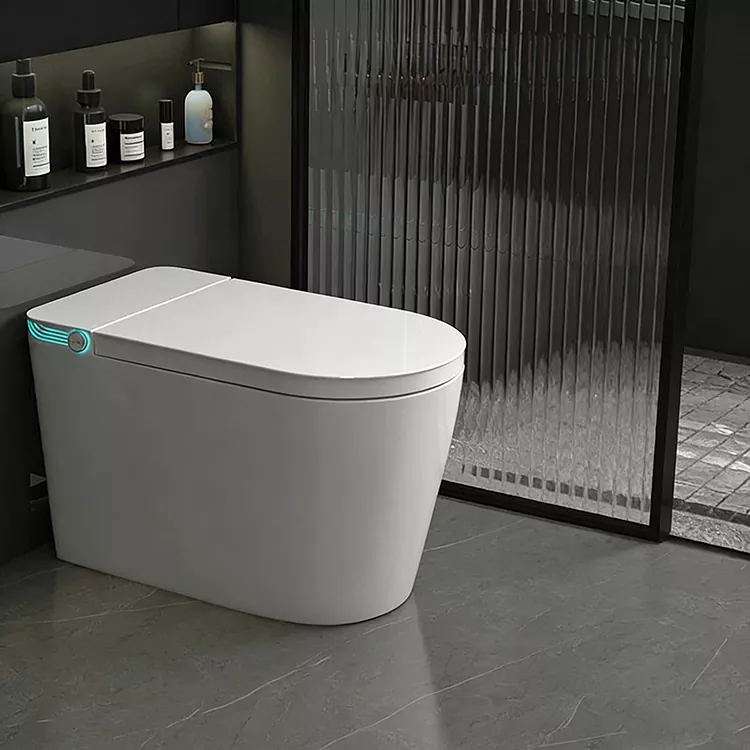 Triedleaze Remote-Controlled Spray Nozzle Sterilization Smart Toilet
